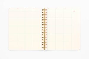 Lavender Organizer