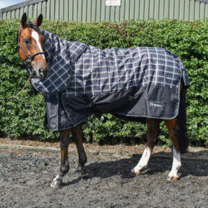 Whitaker Tunstall Turnout Rug Detachable Neck 170gm